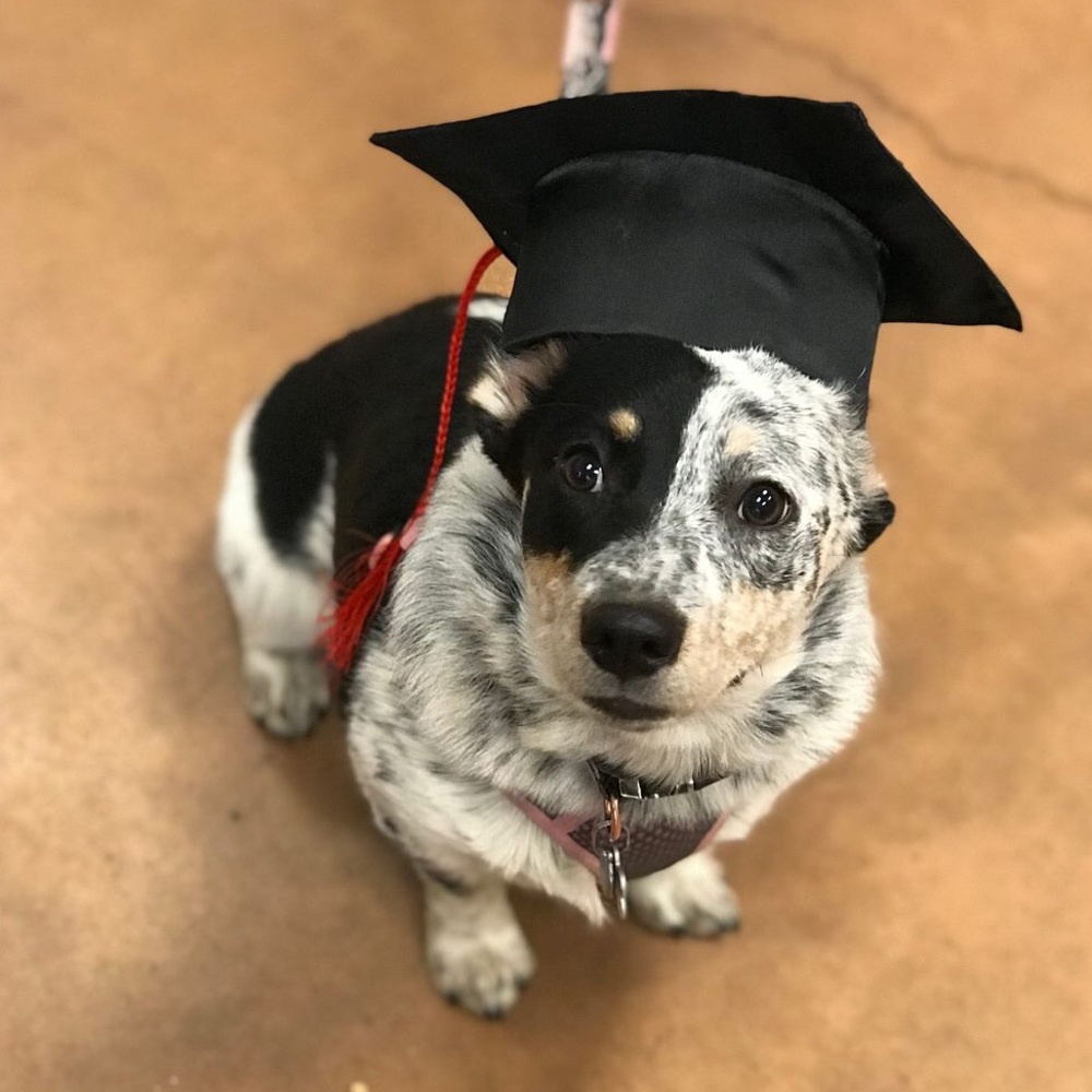 Meet your Posher, Ciara